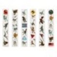 thumbnail image 3 of DELUXE ACTIVITY EGG - JURASSIC, 3 of 5