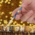 thumbnail image 3 of 4pcs Plastic Beekeeping Honey Bee Larvae Grafting Tool for Rearing Queen Bee, 3 of 9