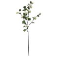 thumbnail image 1 of Vickerman FM181701 39 Po. Vaporisateur Jaune Hop Branch, 1 of 1