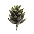 thumbnail image 1 of Coofit Artificial Succulent DIY Realistic Mini Unpotted Succulent Artificial Plant, 1 of 8