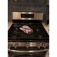 thumbnail image 2 of Carolines Treasures 7004OVMT Basset Hound Oven Mitt, 2 of 3