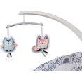 thumbnail image 3 of Fisher-Price –Siège sauteur apaisant de luxe, 3 of 9