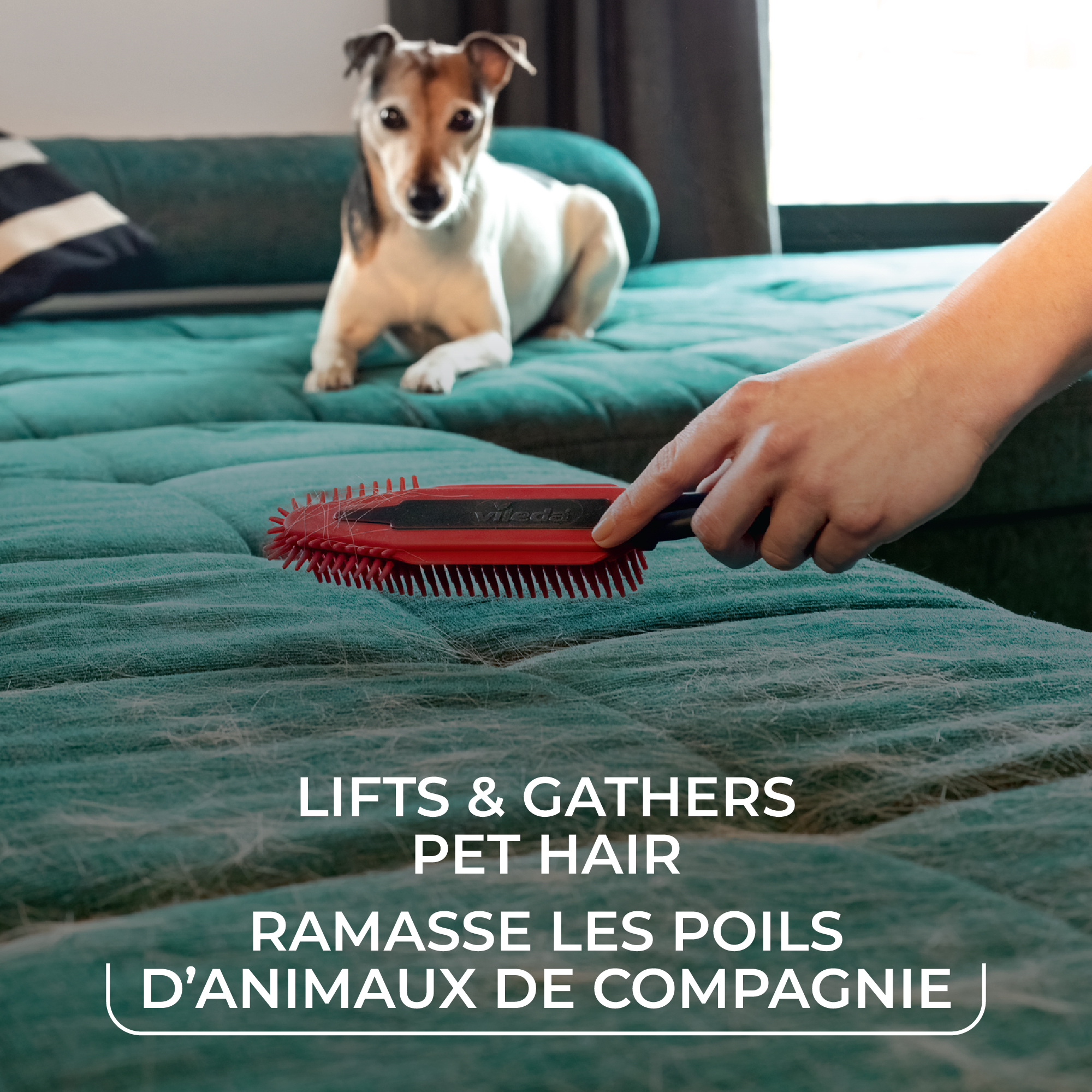 Vileda Pet Pro Pet Hair Remover for Furniture