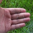 thumbnail image 3 of Kyusrd Aubaines d'Été pour Terrasse Extérieure!Filet de Pêche à Perles en Cuivre Ressort Filet de Banc Filet Filet de Pêche, 3 of 9