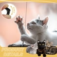 thumbnail image 3 of Uxcell Cat Nail Caps, Cat Claw Covers with Adhesive Glue and Applicators, Kitten Claw Caps Soft Paws, (40 Pcs, L, Crystal Gold), Intended for Pet Tips /  Nail Covers / Control Paws, 3 of 6