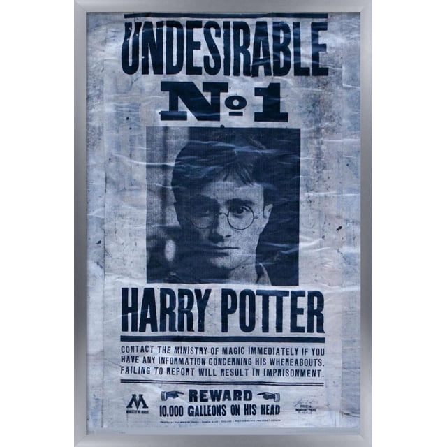 Le Monde des Sorciers : Harry Potter - Affiche Murale « Undesirable », 22,375 Po x 34 Po Présentant une Affiche Recherchée en Noir et Blanc de Style Vintage avec Texte Audacieux « Undesirable No. 1 Harry Potter » et une Récompense de 10 000 Galions du Ministère de la Magie, Imprimée sur Papier d'Affiche Glacé et Vieilli, Idéale pour l'Art Mural et la Déco de Chambre.