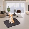thumbnail image 2 of Rbaofujie Small Rug Washable Puppy Urine Mat Suitable for Puppies/Elderly Dogs Quick Drying and Reusable Puppy Urine Mat Suitable for Indoor Outdoor and Car Travel Soft Rug, 2 of 7