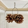 thumbnail image 4 of Birdeem Toy Pinecone Soothing Supplies, 4 of 9