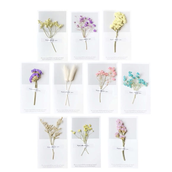 CIMAXIC Carte de la Saint-Valentin 12 Pcs Cadeau de la Fête des Enseignants Cartes de Vœux de la Saint-Valentin Fleurs Séchées (Style Aléatoire),6.3"X3.54"X0.08 Pouces