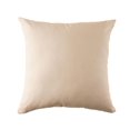 thumbnail image 2 of Outdoor Square Cushion 18in - Aqua (2 Pack), 2 of 5