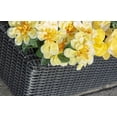 thumbnail image 3 of Grapevine Resin Wicker Planter with Trellis, Black, 3 of 8