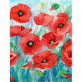 thumbnail image 1 of Carolines Treasures IBD0258CHF Coquelicots Drapeau Toile Taille Maison, 1 of 4