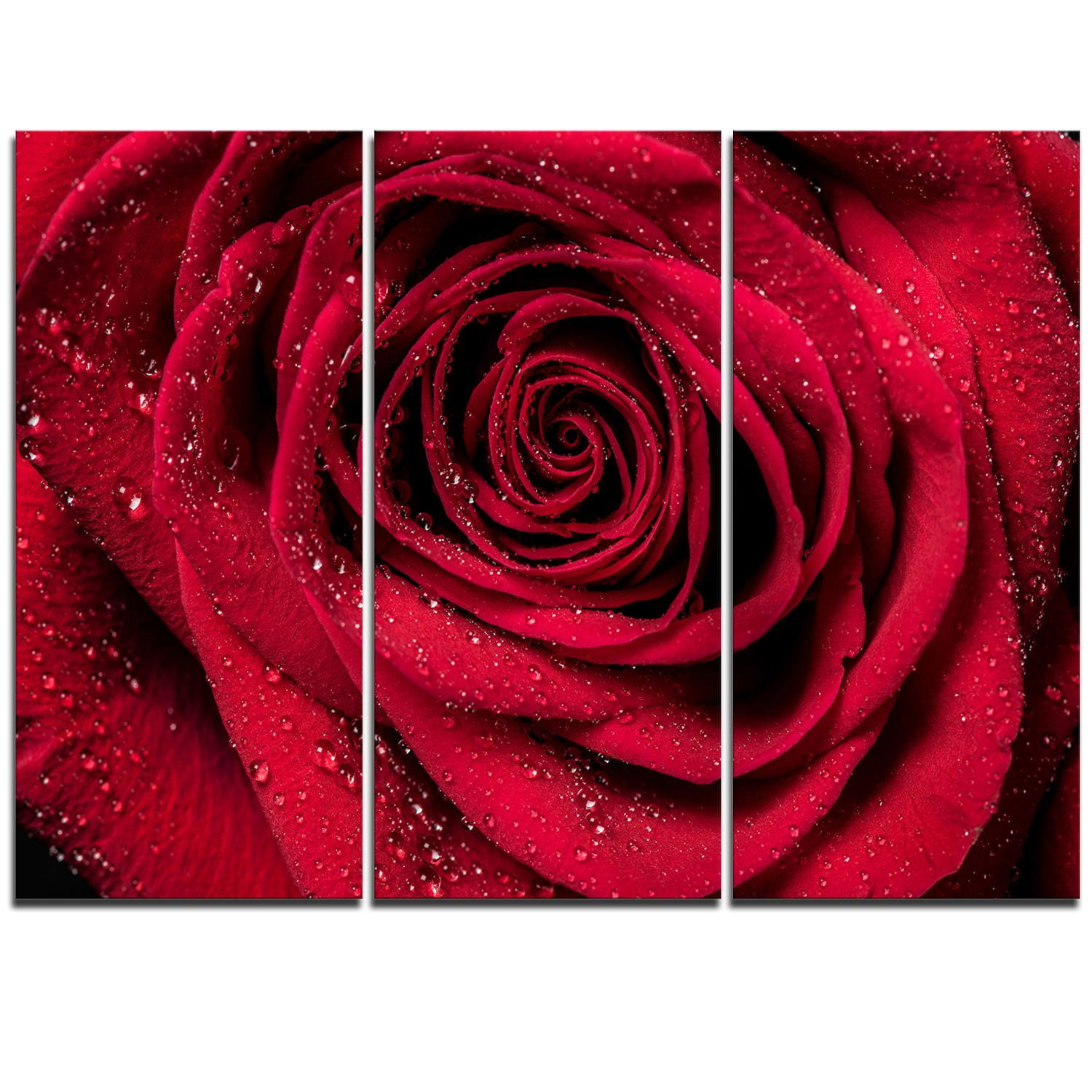 Tableau à toile imprimée florale Design Art Pétales de rose rouge avec gouttelettes de pluie