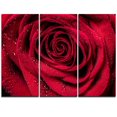 thumbnail image 3 of Design Art Red Rose Petals with Rain Droplets Floral Canvas Art Print, 3 of 3