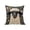 B, variant on Yeciiwht Cute Animals Series Print Pillow Covers 18x18 Inches, Soft Cozy Alpaca Pattern Pillow Case Bedroom Living Room Sofa Bed Throw Pillow Covers for Home Decor