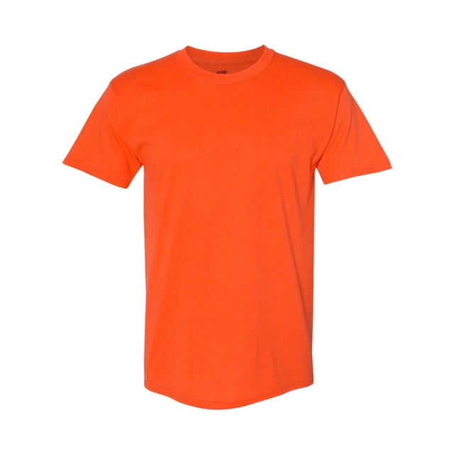 Hanes Men's Authentic-T T-Shirt