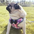thumbnail image 3 of Dog Harness for Cats for Hiking Soft Air Mesh Vest for Small Dogs Cats (Gray,S), 3 of 7