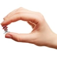 thumbnail image 4 of BITTY 4PK FOXY - FRENCH, 4 of 4
