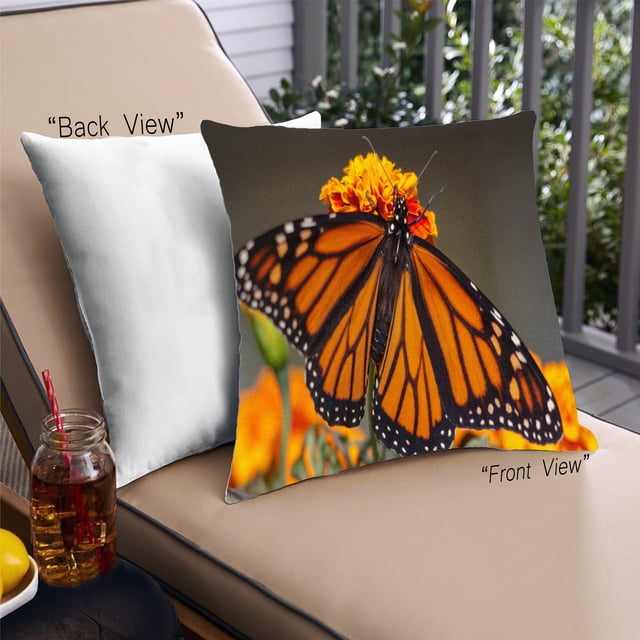Ahgly Company Coussin Décoratif d'Extérieur avec Insectes et Papillons, 18 Po X 18 Po. Coussin Décoratif avec un Motif vibrant de Monarque à l'Avant sur Fond floral, Assorti à un Dos Blanc Uni. Comprend une Fermeture Éclair Dissimulée et un Coussin Intégré. Idéal pour la Déco de patio, Résistant aux Taches et à la Décoloration.