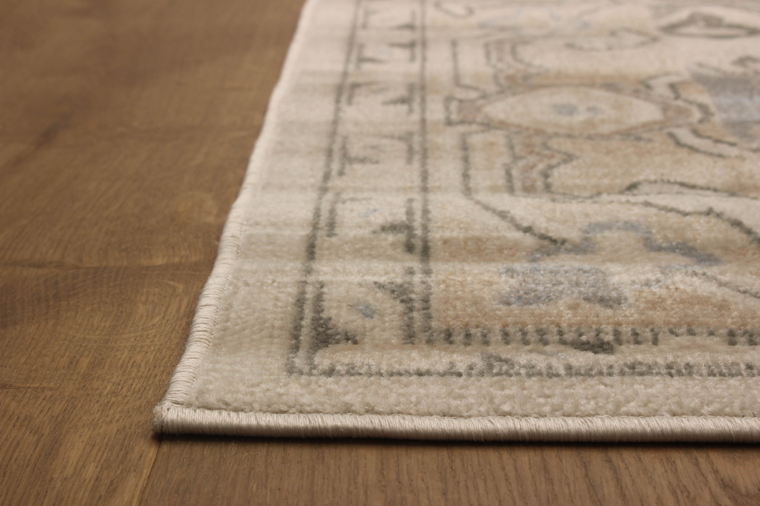 ECARPET Addie Traditional Area Rug for Living Room, Bedroom, Dining Entrance, Hallway and More.