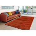 thumbnail image 1 of LaDole Rugs 3x10 ft Fluffy Shaggy Area Runner Rug | Machine Washable Long Carpet For Hallway, Kitchen, Entry Way, Indoor Floor Décor | Copper Mustard, 1 of 1