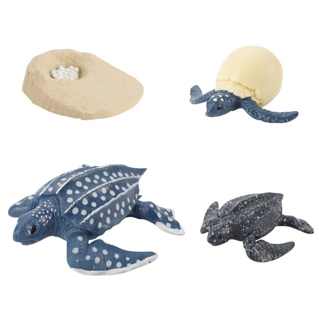 Plastic Animals Figures 4 Piece Insect Figure Animal Life Cycle Plastic Brood to Mature Period
