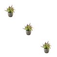 thumbnail image 2 of Decodeary Green Eco-friendly Artificial Money Tree In Pot Long-lasting Durability Realistic Appearance purple rose 3Set, 2 of 6