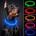 thumbnail image 1 of USB Rechargeable LED Dog Collar Glowing pet Dog Collar for Night Safety  Water Resistant Cuttable TPU Light Up Collars Fashion Light up Collar for Small Medium Large Dogs, 1 of 8
