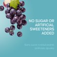thumbnail image 4 of SunRype Greatly Grape Juice Boxes 5x200ml, 4 of 9