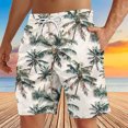 thumbnail image 1 of Soki Shorts Décontractés de Plage pour Hommes Shorts Graphiques en Liquidation, 1 of 4