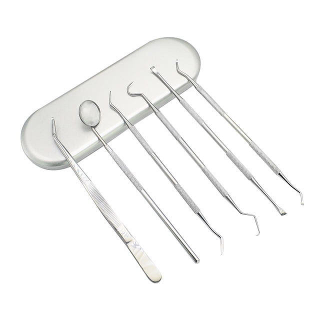 RYRDWP Stainless Steel 6-piece Set To Assist Tweezers, Mouth Mirror Probe