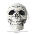 thumbnail image 3 of Plastic Horror Skeleton Skull Ornament Halloween Decor for Home  3 Piece Set, 3 of 9