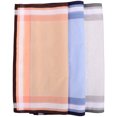 thumbnail image 3 of 3pcs Pocket Square Tea Party Handkerchief Bridal Shower Gift Retro Men Bandana, 3 of 8