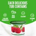 thumbnail image 4 of Activia Probiotic Yogurt, Apple-Blackberry/Raspberry/Cherry/Strawberry-Rhubarb, 12x100g, 4 of 8