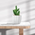 thumbnail image 4 of RuiJiao Clearance Round Planter Pot Vintage-Style White Flower Pots Indoor Textured Cylindrical Succulent Containers, 4 of 5