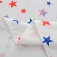 thumbnail image 4 of Nappe du 4 Juillet 60 Pouces X 84 Pouces Rectangulaire Patriotique - Étoiles Rouges Bleues Blanches Nappe Oblongue en Polyester Réutilisable Résistante à l'Eau Fête de l'Indépendance Congé Pique-Nique Fête Déco de Table, 4 of 6