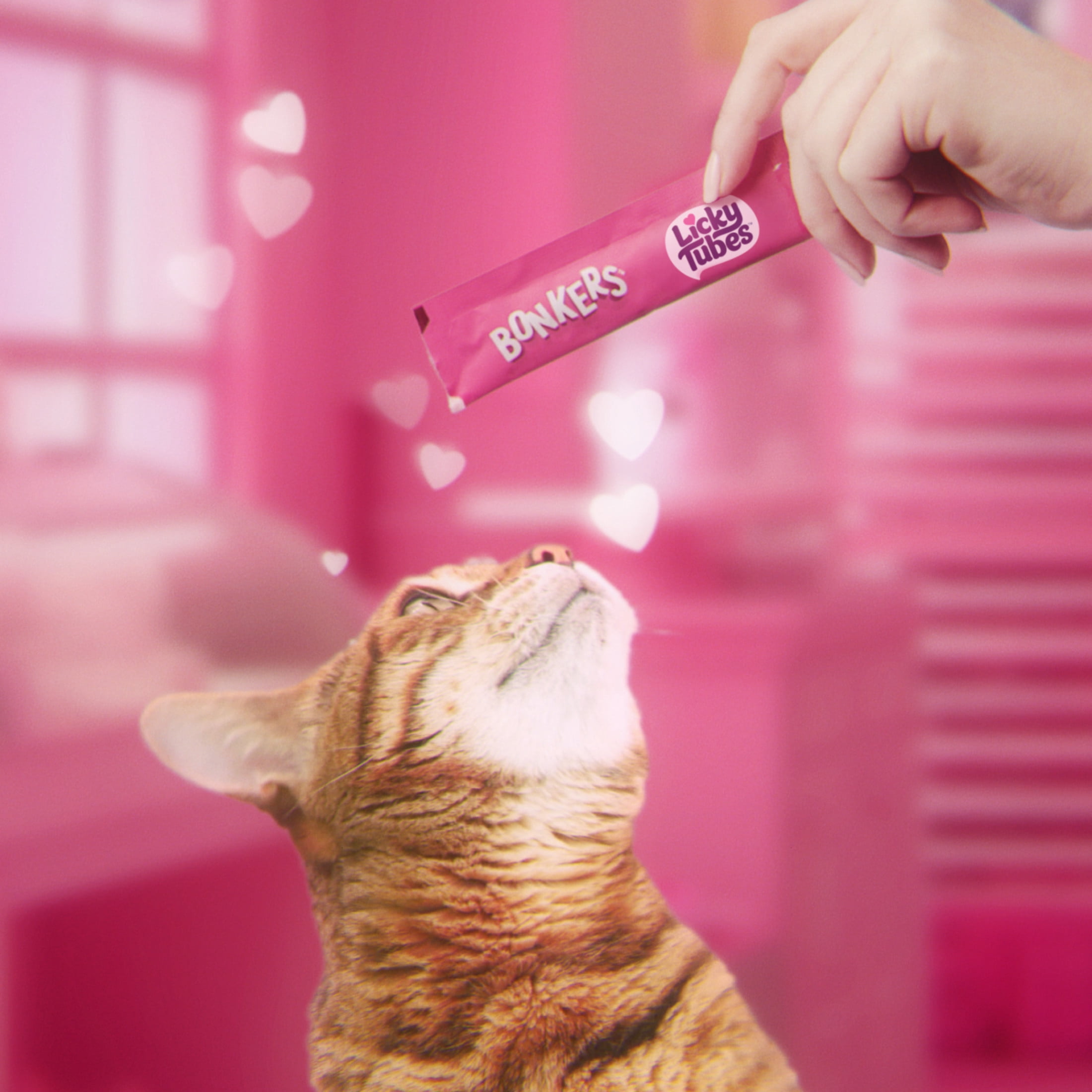 BONKERS Tubes à Lécher Saveur de Poulet Gâteries Humides Léchables pour Chats Lot de 4