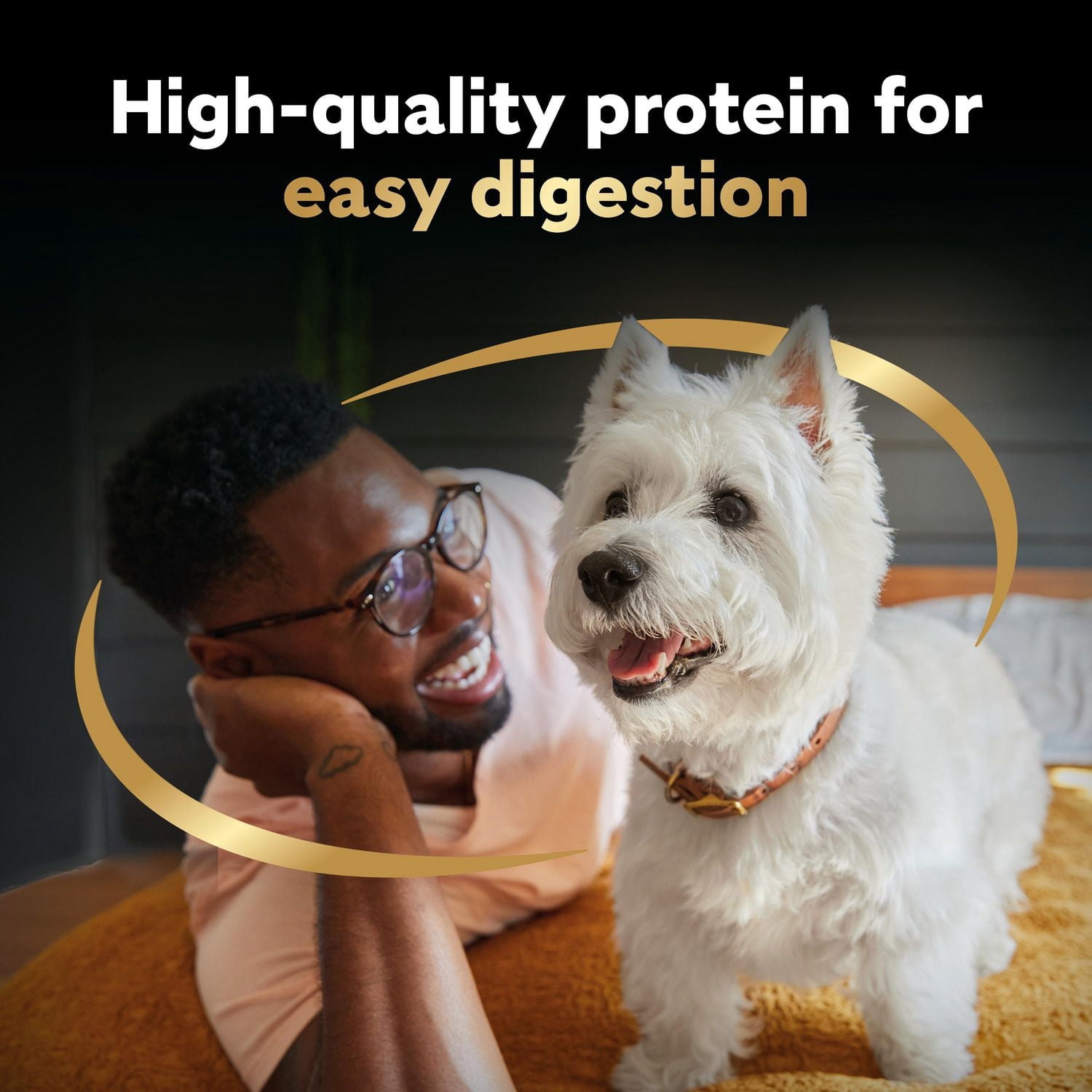 Cesar Home Delights Ragoût de Bœuf et Poulet, Nouilles et Légumes Paquet Varié Nourriture pour Chien Adulte Humide et Tendre, 12x100g