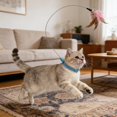 thumbnail image 3 of Interactive Cat Collar Teaser Wand for Indoor Play and Exercise with Feather Attachment and Coil Construction, 3 of 4