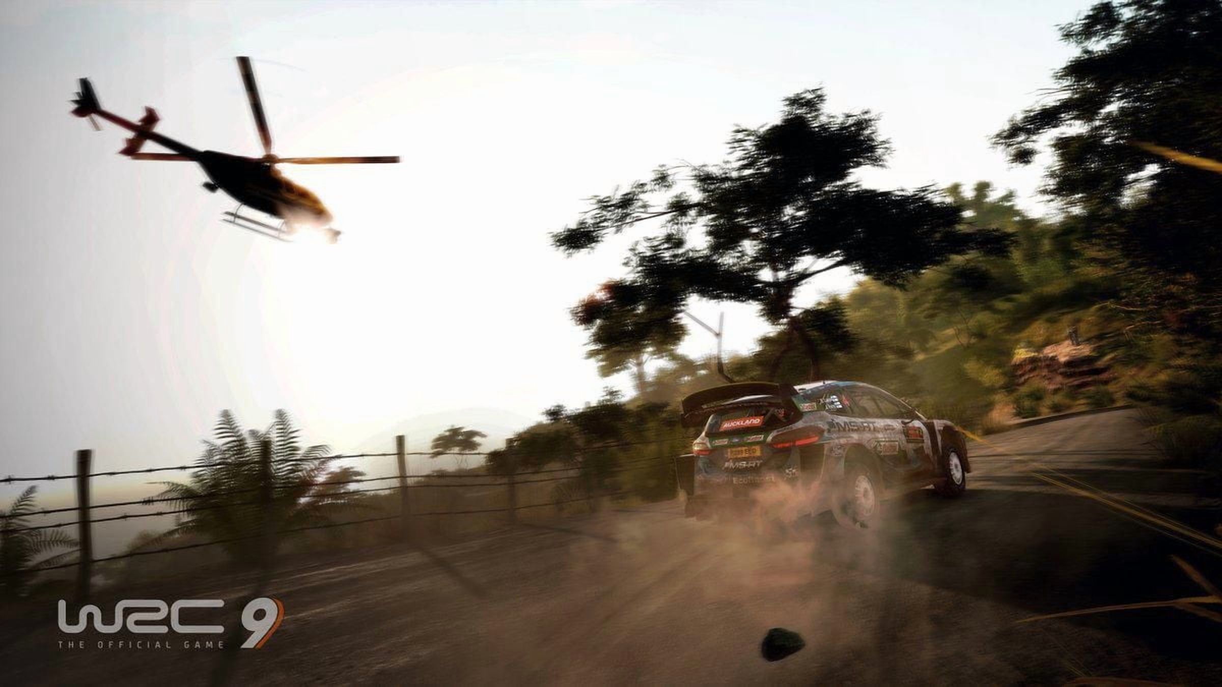 Jeu vidéo WRC 9 pour (Nintendo Switch)