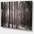 thumbnail image 2 of Beautiful Misty Forest in the Autumn - Forest Canvas Art Print, 2 of 4