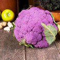 thumbnail image 4 of HJADGG 100+ Chou-Fleur Chou Modika Sicile-Légumes Violet, 4 of 8