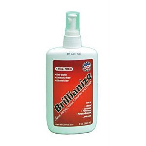 Brillianize 8 Ounce (240 ml) Plastic Cleaner in Pump Spray Bottle