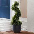 thumbnail image 1 of Better Homes and Gardens Topiaire - courbé avec pot noir, 1 of 8