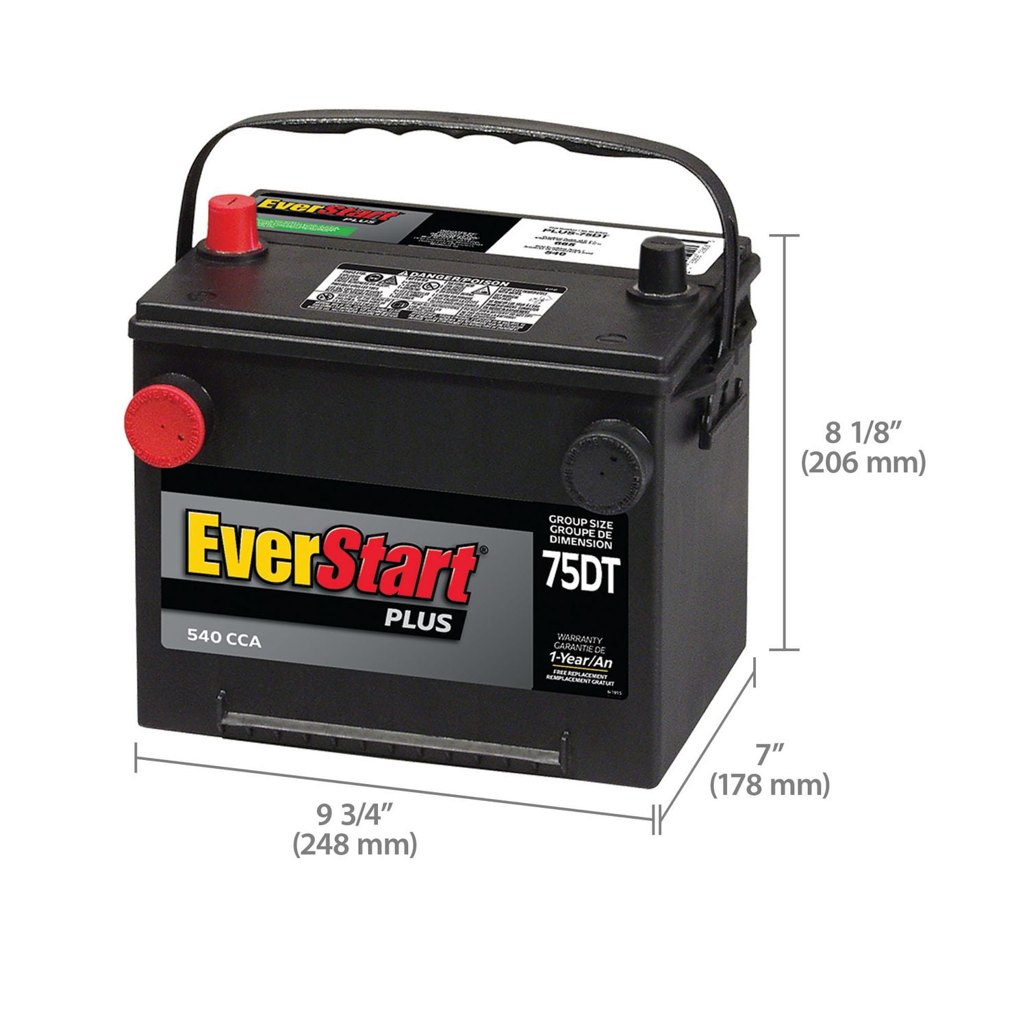 EverStart Auto Plus-75DT, 12 Volt, Car Dual Terminal Battery, Group Size 75, 540 CCA