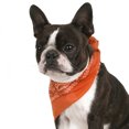 thumbnail image 1 of Balec Pack of 2 Paisley Cotton Dog Bandana Triangle Shape  - One Size Fits Most, 1 of 2