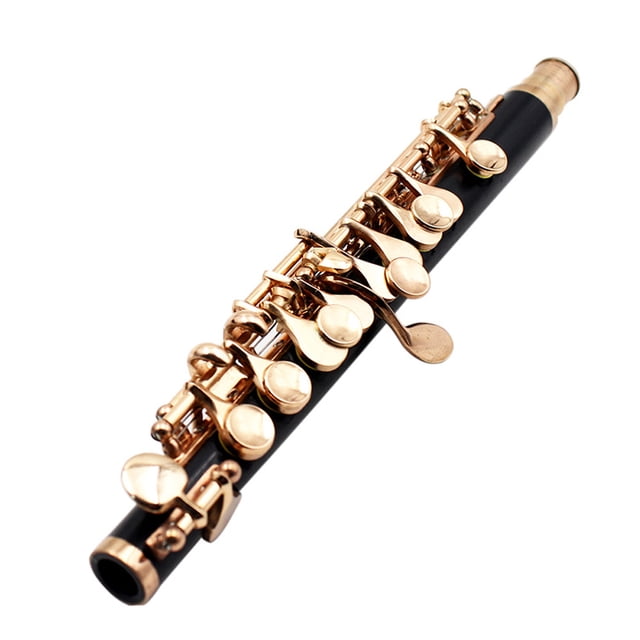 Graflsoa Golden C Key Piccolo with Stylish ABS Resin Body and Silver-Plated Head, Includes Padded Box, Cleaning Kit, and Adjustable Strap for Easy Storage and Portability