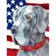 thumbnail image 1 of Grande Taille de Drapeau Patriotique Américain Dane Usa, 1 of 1