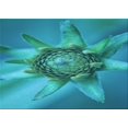 thumbnail image 1 of Ahgly Tapis Rectangulaire Lavable en Machine Intérieur Transitionnel Vert Cyan Foncé, 2 Pieds x 4 Pieds, 1 of 7