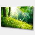 thumbnail image 2 of Belle Herbe Verte et Arbres - Grande Impression sur Toile de Paysage, 2 of 3